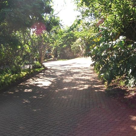 האזיביו Eagles Nest Chalets מראה חיצוני תמונה